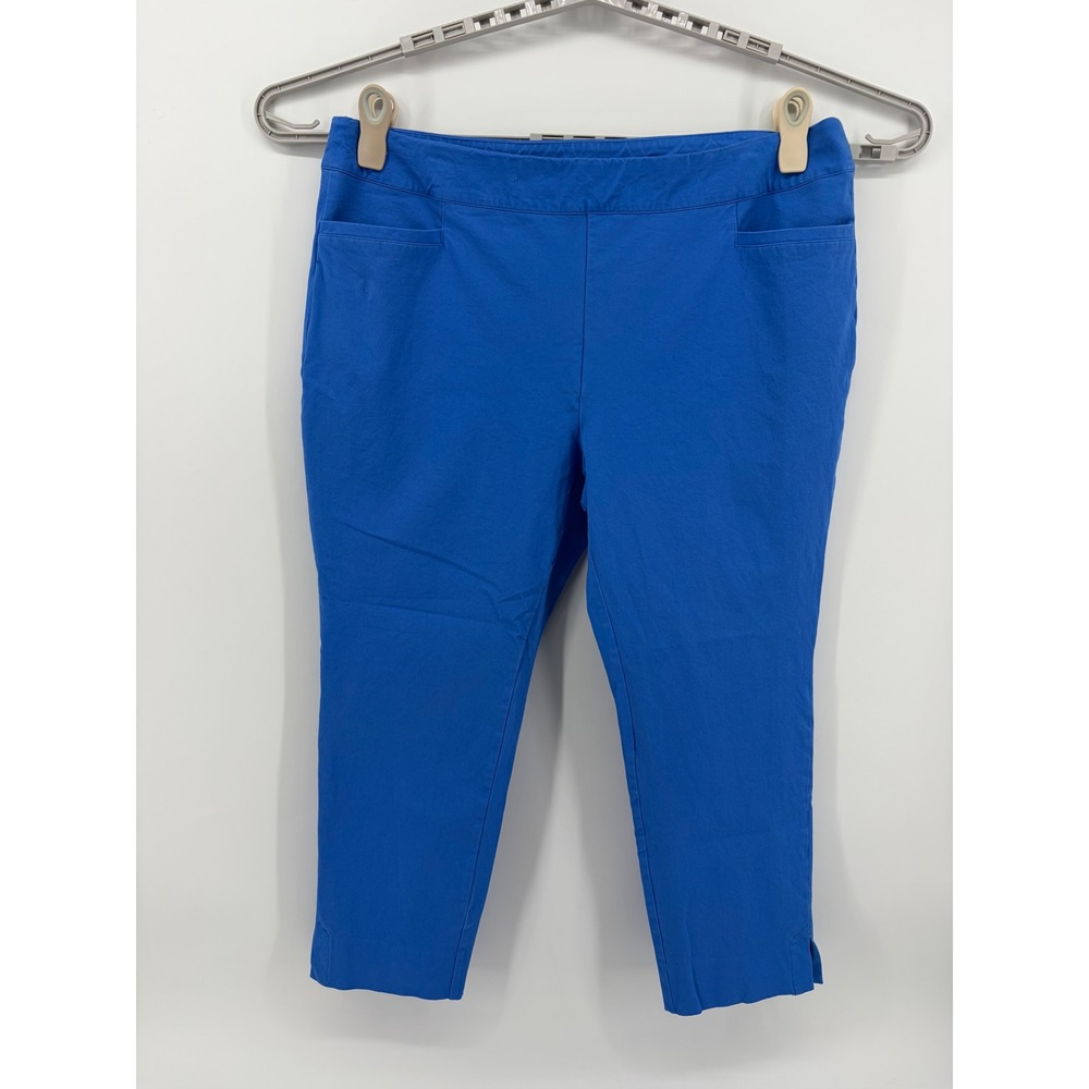 Soft Surroundings Womens 1X Blue Cropped Pants Tummy Control Pull On 2GF50